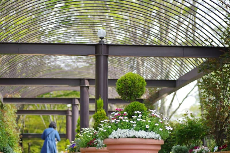 Sheds, Garden Rooms & Pergolas