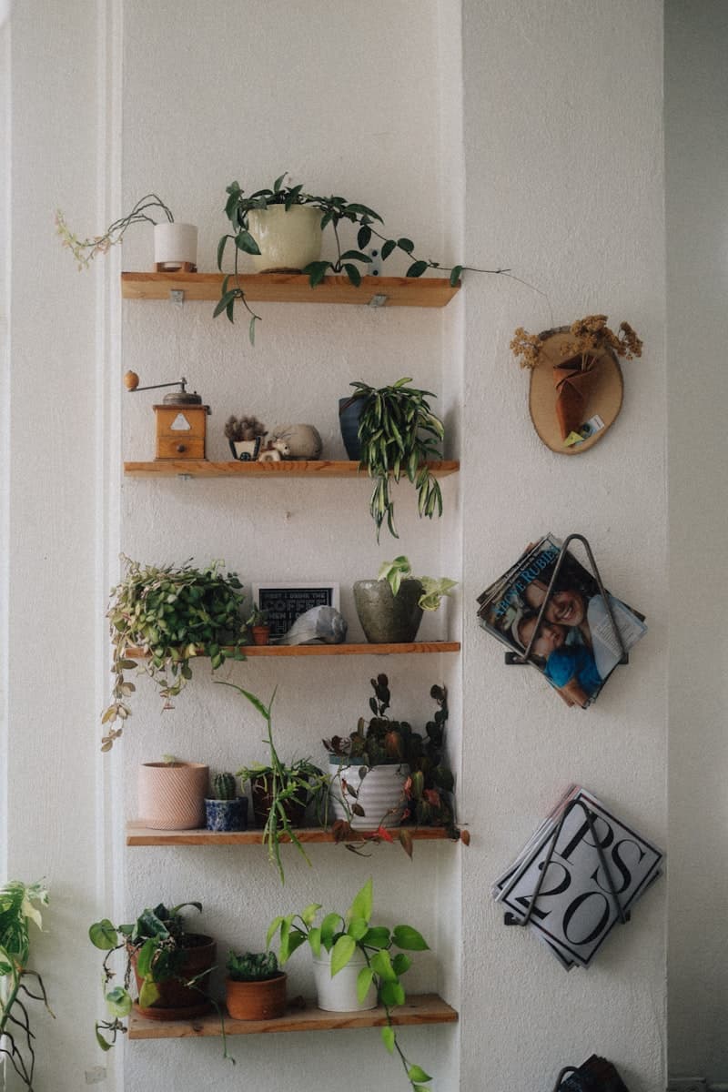Hanging Pictures, Mirrors & Shelves